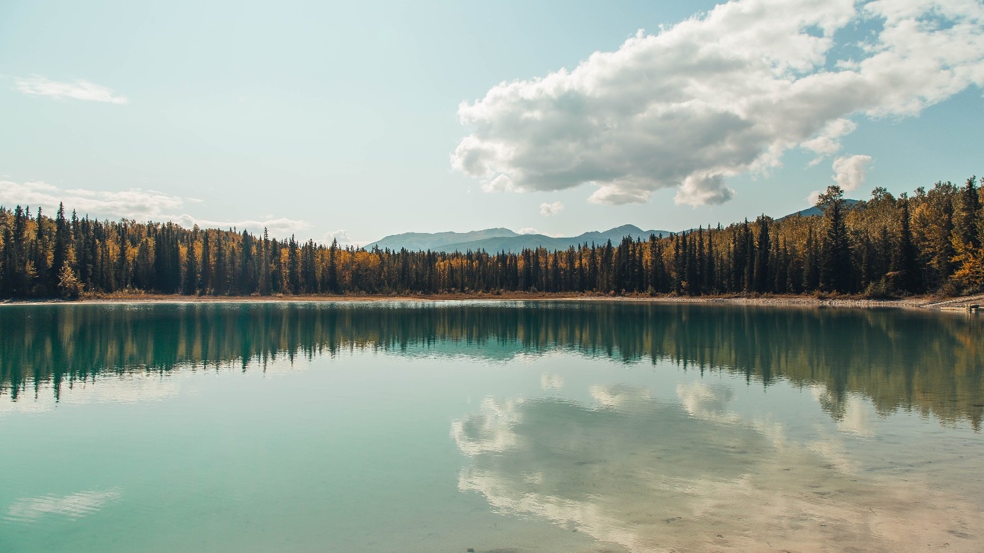 英超火爆对抗：球员拼搏到最后一秒钟，英超火爆对抗_球员拼搏到最后一秒钟的视频